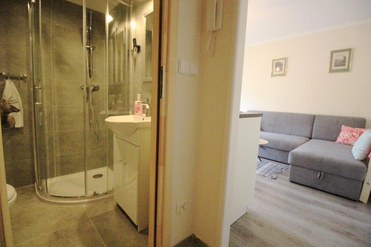 Apartament Bazatatry Sloneczny II Apartment ซาโกปาเน ภายนอก รูปภาพ